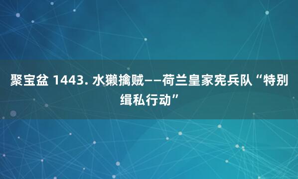 聚宝盆 1443. 水獭擒贼——荷兰皇家宪兵队“特别缉私行动”