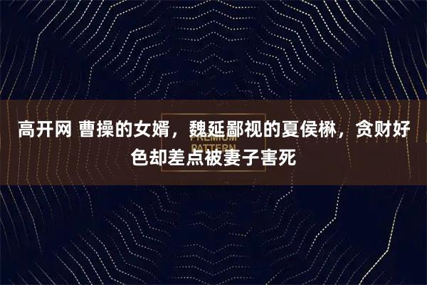 高开网 曹操的女婿，魏延鄙视的夏侯楙，贪财好色却差点被妻子害死
