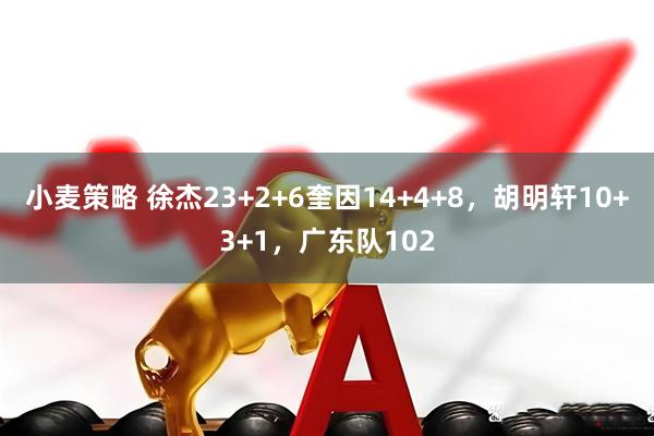 小麦策略 徐杰23+2+6奎因14+4+8，胡明轩10+3+1，广东队102