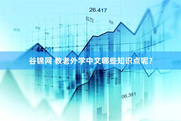 谷锦网 教老外学中文哪些知识点呢？