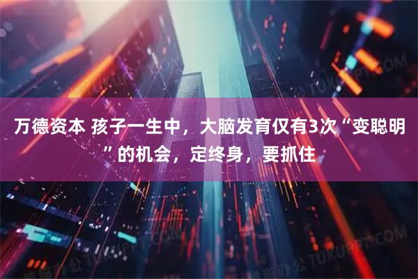 万德资本 孩子一生中，大脑发育仅有3次“变聪明”的机会，定终身，要抓住